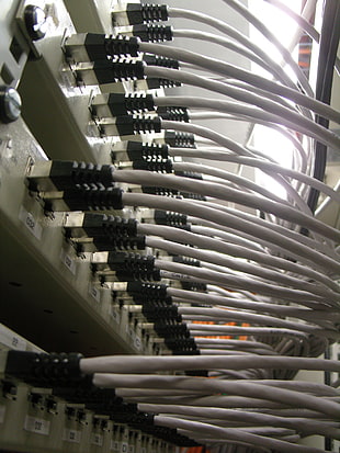 white cables, IT, computer, network, Cable