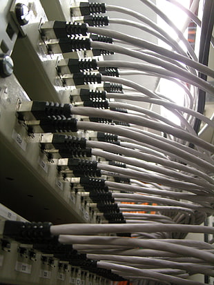 white cables, IT, computer, network, Cable HD wallpaper