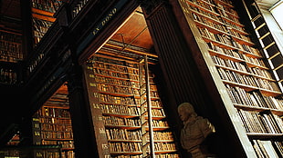 brown wooden bookshelf, wood, wooden surface, library, books HD wallpaper