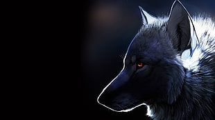 white wolf, wolf, artwork
