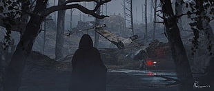 person wearing hooded robe standing in front of wrecked aircraft surrounded by trees during dusk
