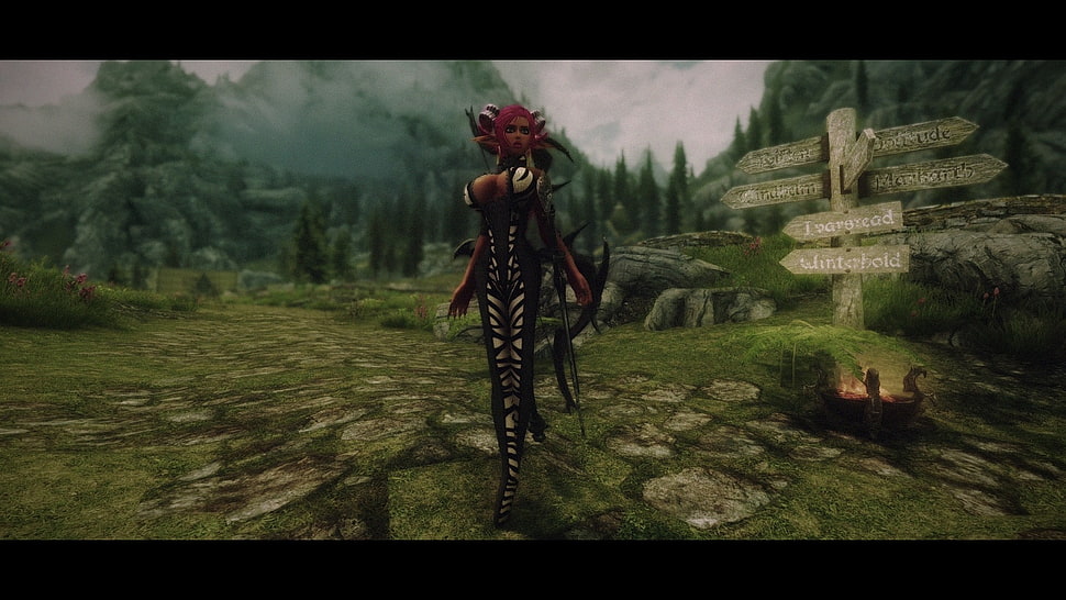 game character screenshot, zebras, video games, The Elder Scrolls V: Skyrim, big boobs HD wallpaper