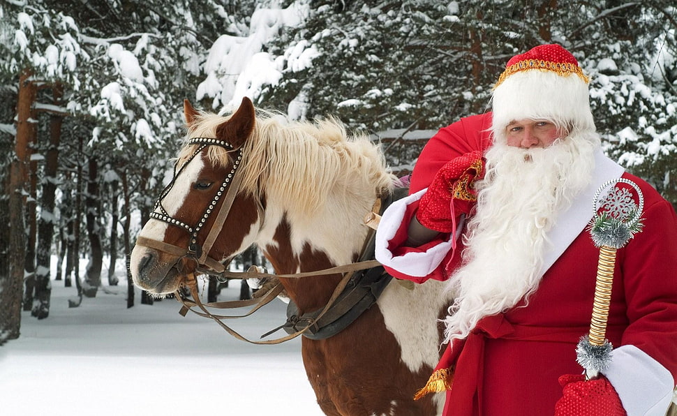 Sta. Claus with white and brown horse HD wallpaper