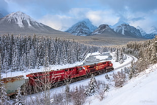 photo of red train surrounded by trees during snow season, banff national park
