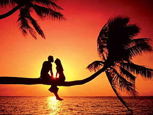 silhouette of man and woman sitting in the tree during sunset