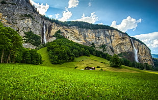 landscape photo of grassy field HD wallpaper