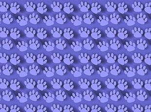 purple paw print HD wallpaper