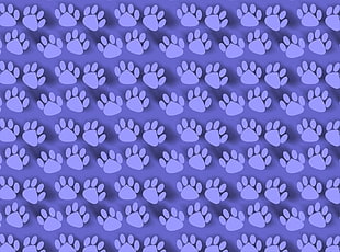 purple paw print