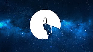 penguin standing on cliff wallpaper, Penguin, vector, galaxy, universe HD wallpaper