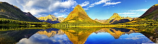 body of water near tree during dayrime HD wallpaper