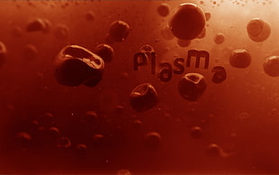 Plasma text with red blood cells HD wallpaper