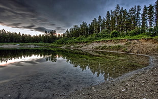 body of water near pine trees, nature, HDR, landscape, lake