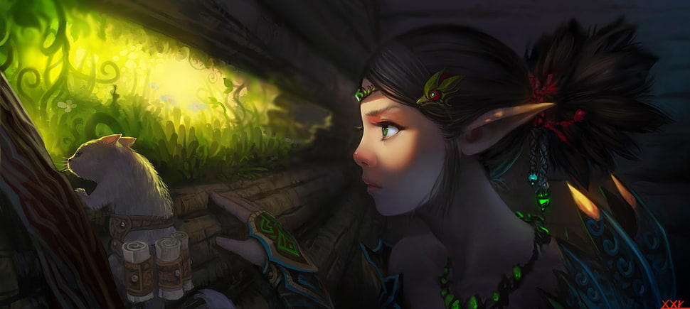 black haired female elf illustration, fantasy art, warrior HD wallpaper