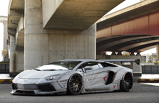 gray sports car, Lamborghini, Lamborghini Aventador, car, widebody