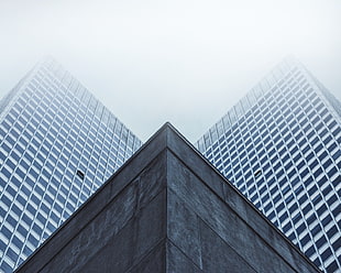 high rise building during daytime