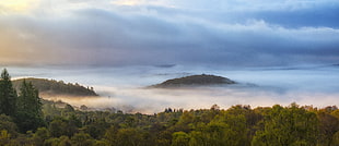 mountains with fogs at golden hour, aberfoyle HD wallpaper