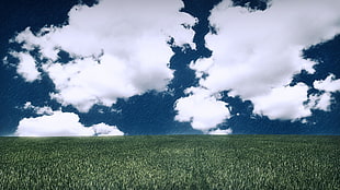 green grass under the cloudy sky during daytime, landscape
