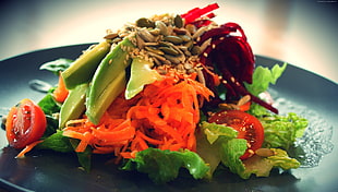 macro photography of vegetable salad