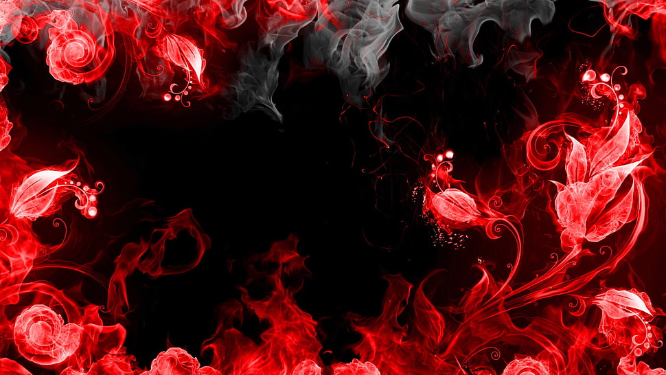 black and red floral illustration HD wallpaper
