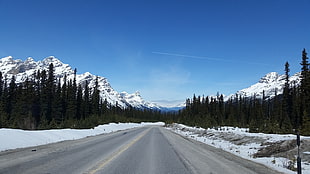 landscape photography of gray concrete road during winter