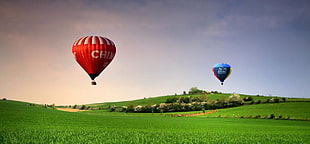 two blue and red hot air balloons above green grass and under blue skies during daytime