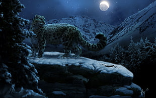 jaguar on rock during night