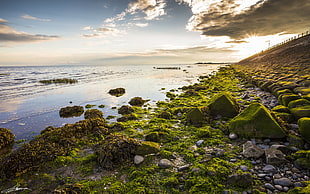 pile of rocks near on seashore, landscape, water, nature