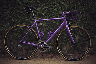 purple road bike parked near plant HD wallpaper