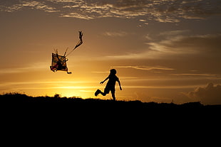 brown kite, kites, children, sunset, sunlight HD wallpaper