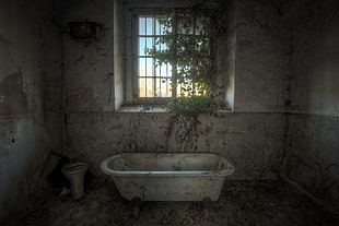 white ceramic bathtub, interior, ruin, room, overgrown