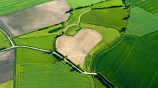 green grass, aerial view, landscape, field, heart