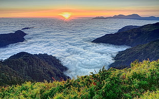 sea of clouds during sunrise
