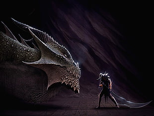 soldier holding sword standing in front of black dragon digital wallpaper, dragon, sword, warrior, fantasy art
