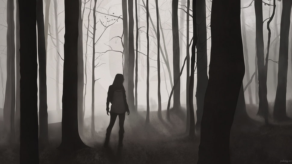 silhouette of person and trees, Joakim Olaussen, forest, dark, digital art HD wallpaper