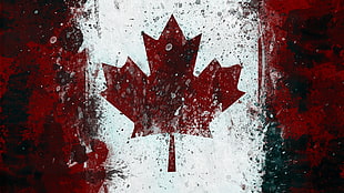 Toronto Maple Leafs logo, Canada, Canadian flag, flag, grunge