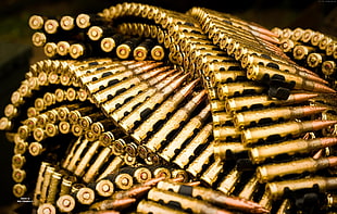 brass-colored gun ammo