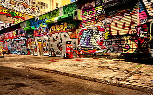 graffiti artwork near pave