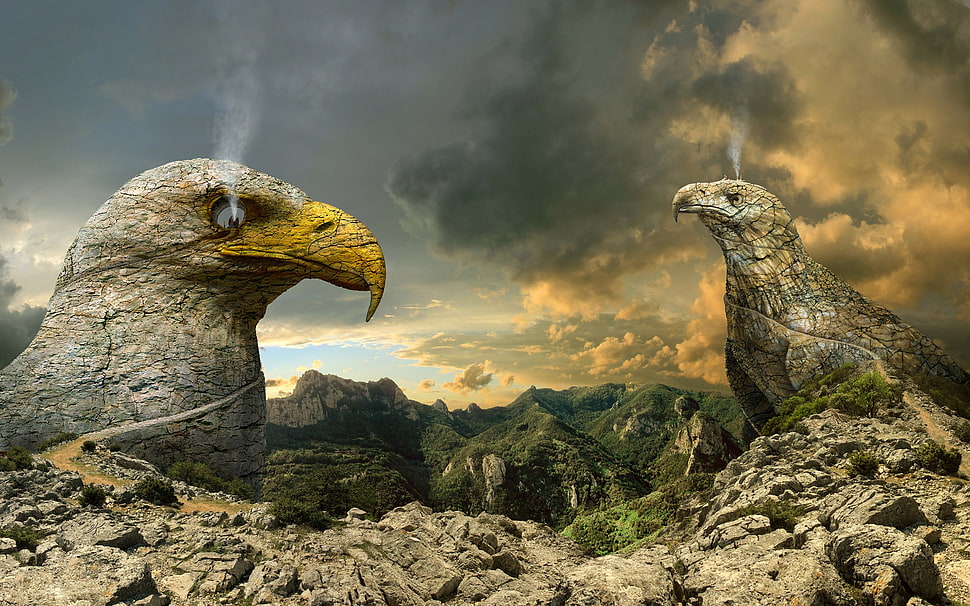 eagle rock mountain wallpaper, digital art, fantasy art, animals, eagle HD wallpaper