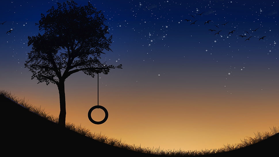 ring swing, sunset, trees, sunlight HD wallpaper