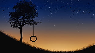 ring swing, sunset, trees, sunlight HD wallpaper