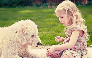 girl sitting on green grass field beside dog