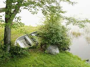 white canoe on land near green bush