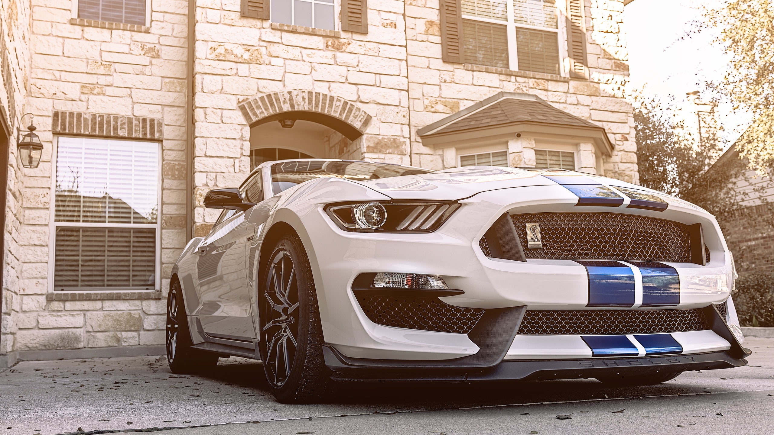 18++ 2018 White Shelby Mustang Blue Stripes Wallpaper free download
