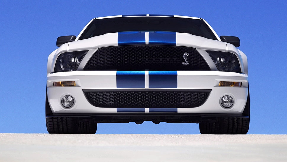 white and blue Dodge Viper, Ford Mustang, muscle cars HD wallpaper