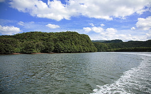 green island during daytime