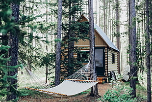 gray hammock, Hammock, Forest, Structure HD wallpaper