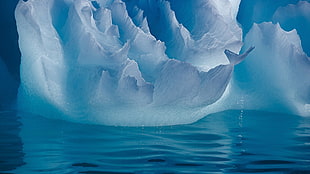 iceberg near water HD wallpaper