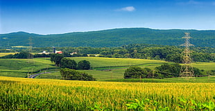 green field, church hill