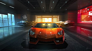 orange Lamborghini luxury car, race cars, sports car, luxury cars HD wallpaper