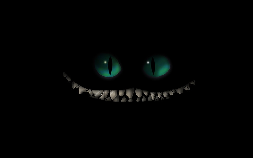 Cheshire Cat in dark HD wallpaper